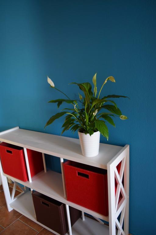Obstkorb Stralsund Daire Oda fotoğraf